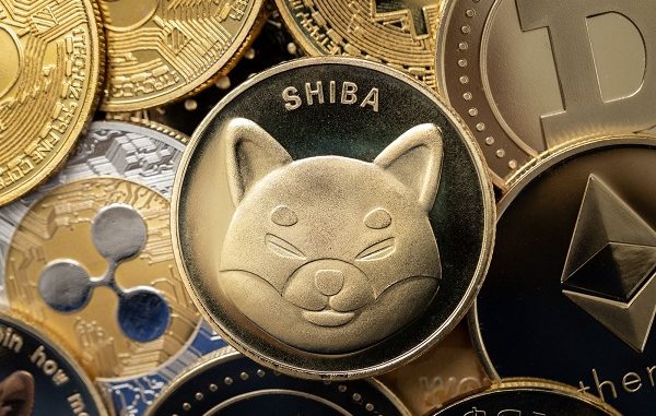 SHIB token burn fails to inspire major price move; is GFOX stealing SHIB's thunder?