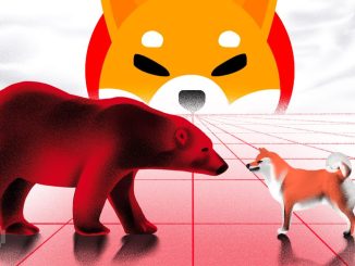 Shiba Inu (SHIB) Investor Losses Jump by $7 Billion