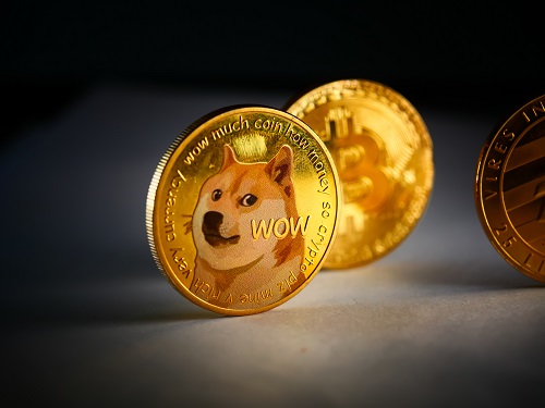 Dogecoin, Shiba Inu volume slumps as Solciety token sale thrives