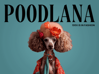 Poodlana goes viral ahead of highly-anticipated launch