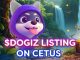 Dogizen on Cetus