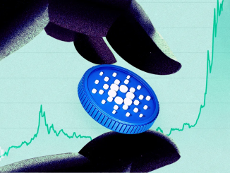 Cardano Jumps 47% as Whales and Long-Term Holders Double Down on ADA