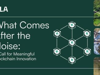 What Comes After the Noise: A Call for Meaningful Blockchain Innovation