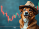 Dogwifhat (WIF) jumps 60% as meme coin market rebounds