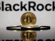 Abu Dhabi sovereign wealth fund, Citadel Advisors boost BlackRock Bitcoin ETF holdings