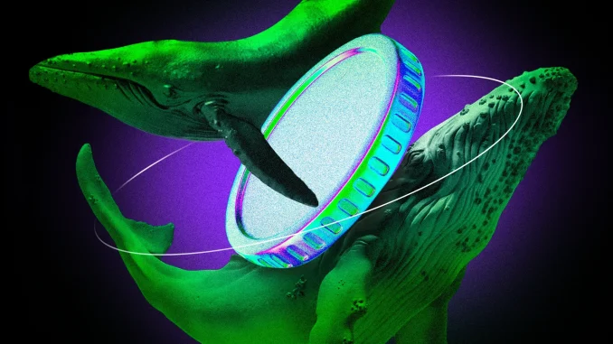 Crypto Whales Bought These Altcoins in the Fourth Week of May 2025