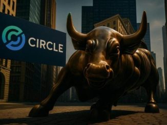Circle rejected Ripple's $5 billion buyout — now valued at over $20 billion after NYSE debut