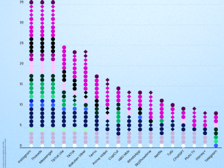 Digital Privacy in Europe